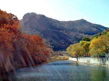 管家婆黑白马报图库，芳芳张张